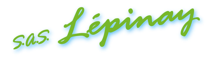 Logo---SAS-Lepinay